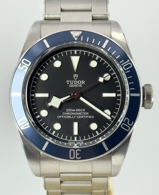 TUDOR BLACK BAY