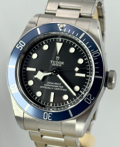 TUDOR BLACK BAY